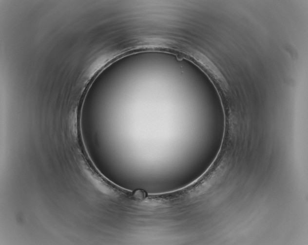 X0000111530842200907141526