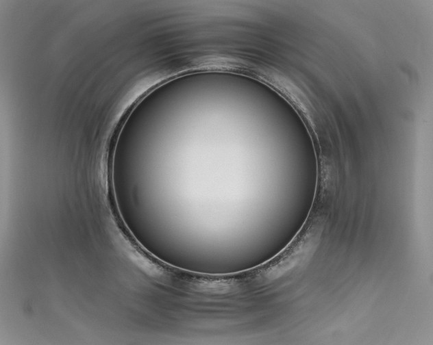 X0000111530843200907141526