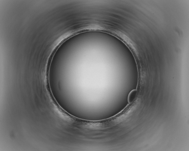 X0000111530845200907141526