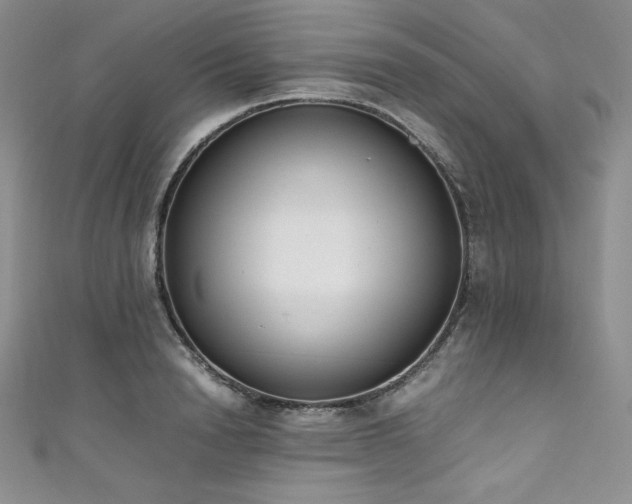 X0000111530846200907141526