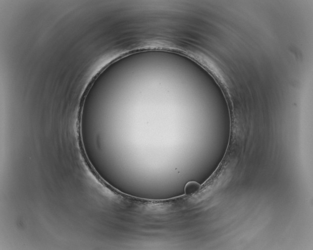 X0000111530847200907141527