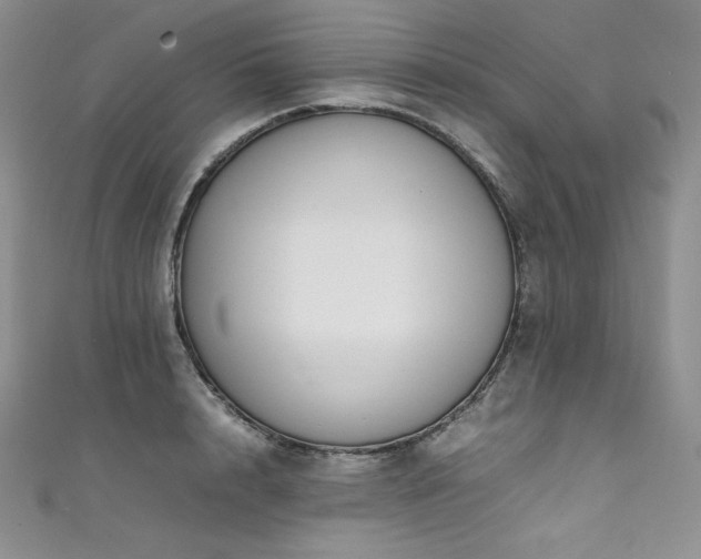 X0000111530848200907141527