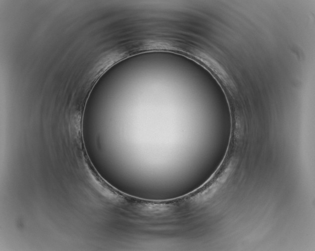 X0000111530849200907141527