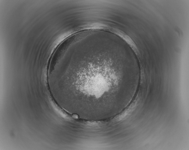 X0000111530850200907141527