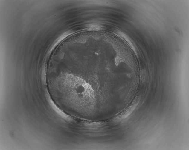 X0000111530851200907141527