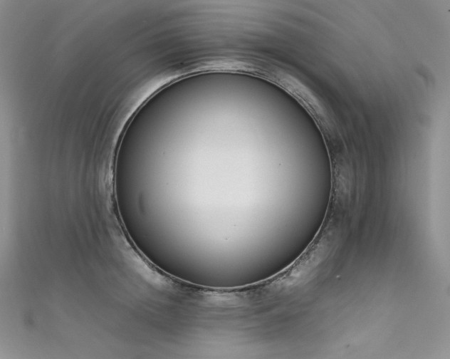 X0000111530852200907141527