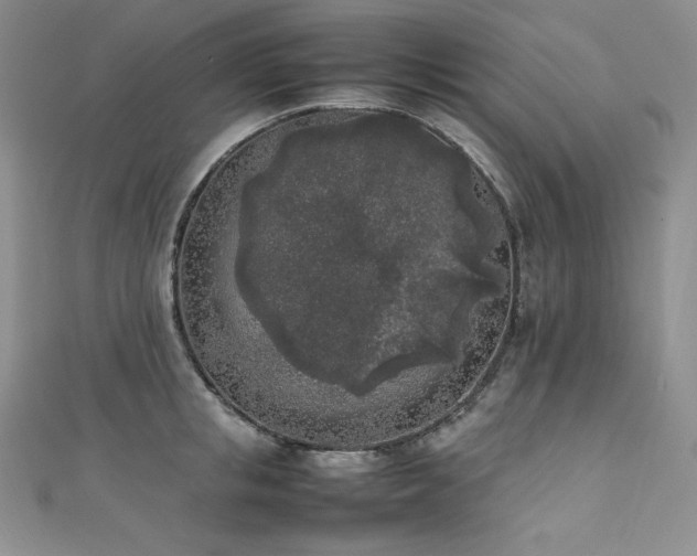 X0000111530853200907141527