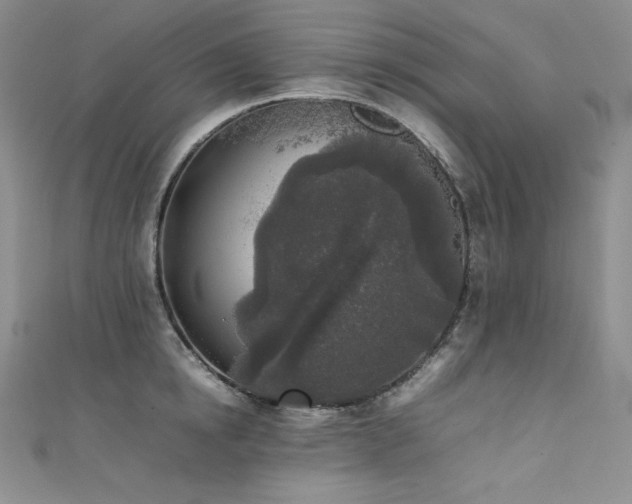 X0000111530854200907141527