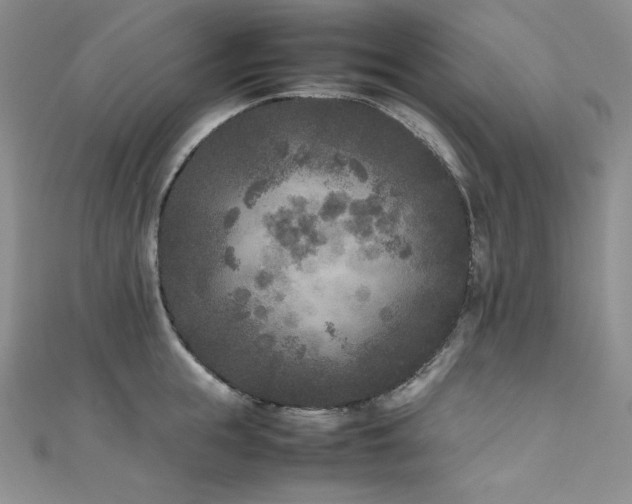 X0000111530855200907141527