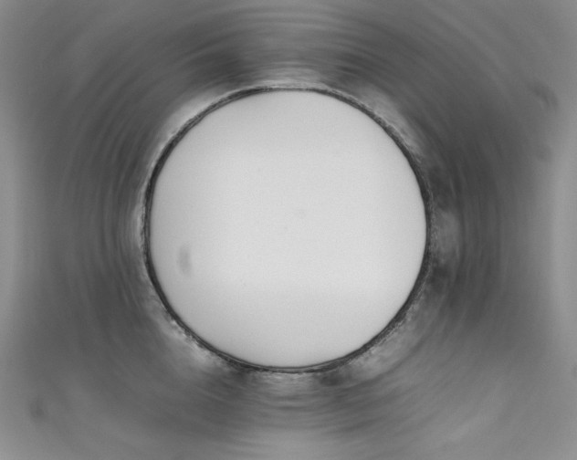 X0000111530856200907141527