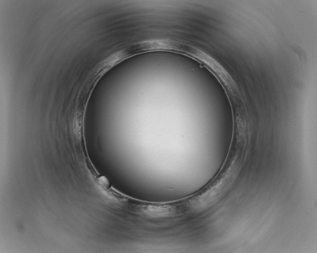 X0000111530857200907141527