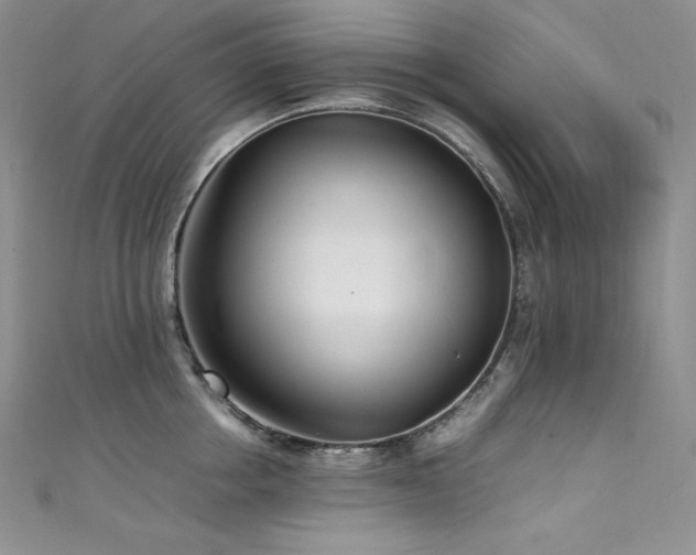 X0000111530858200907141527