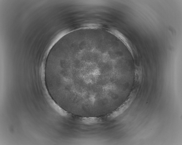 X0000111530859200907141527