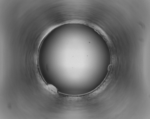 X0000111530860200907141527