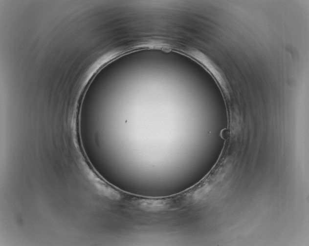 X0000111530861200907141527