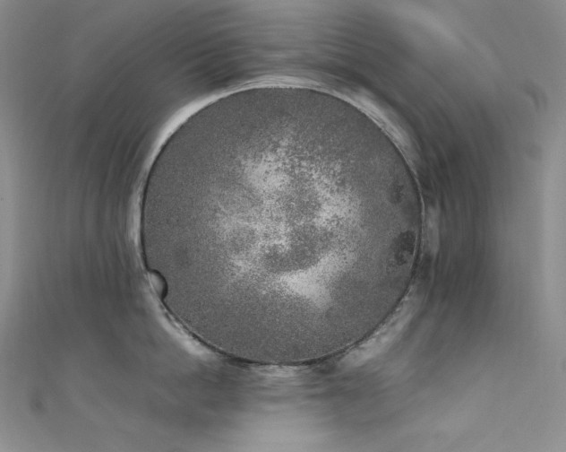 X0000111530862200907141527