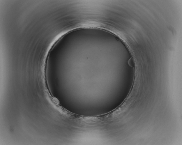 X0000111530864200907141527