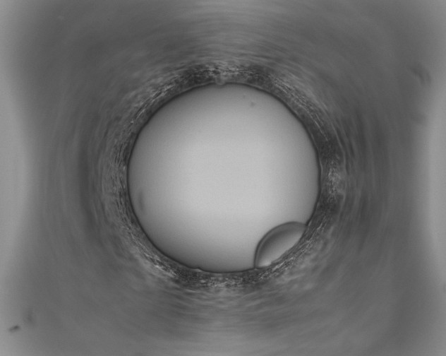 X0000111530865200907141526