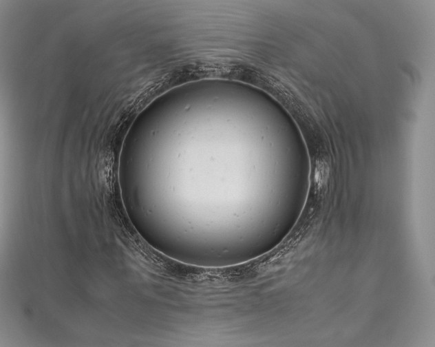 X0000111530867200907141526