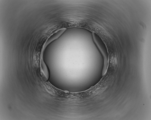 X0000111530868200907141526