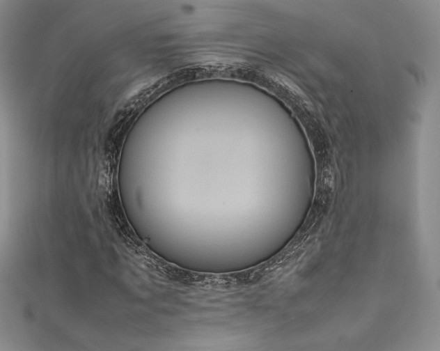 X0000111530869200907141526