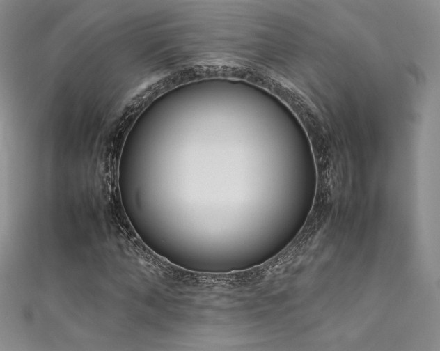 X0000111530870200907141526