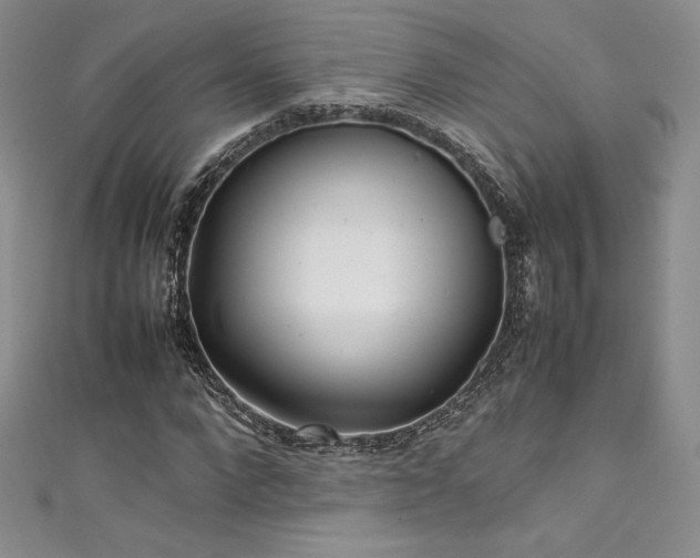 X0000111530872200907141526