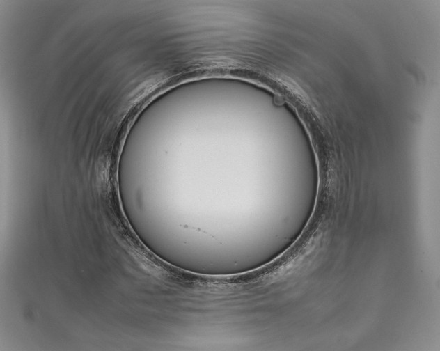 X0000111530873200907141526