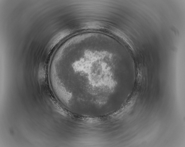 X0000111530874200907141526