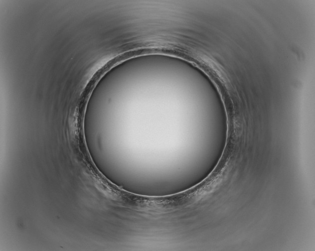 X0000111530875200907141526