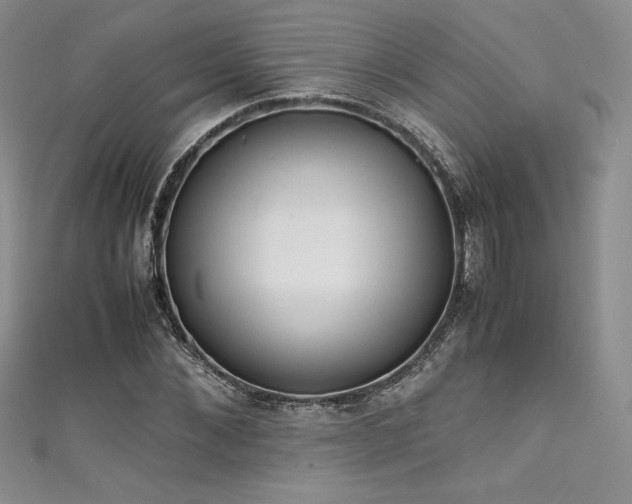 X0000111530876200907141526