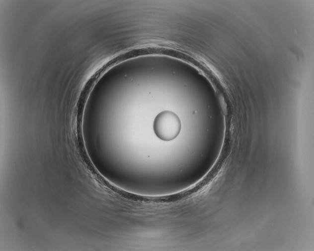 X0000111530877200907141526