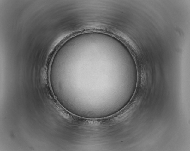 X0000111530878200907141526