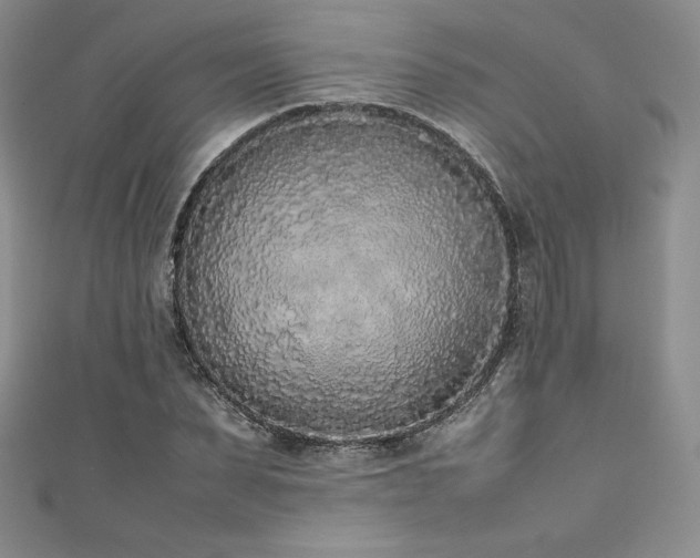 X0000111530879200907141526