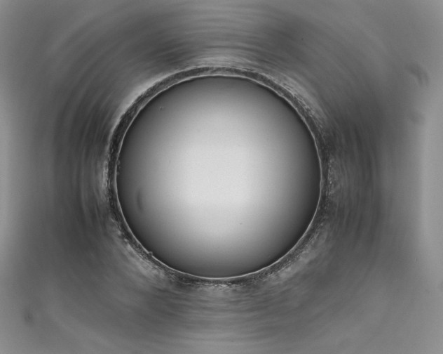 X0000111530880200907141526