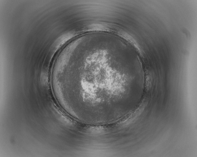 X0000111530882200907141526