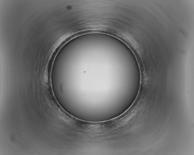 X0000111530883200907141526