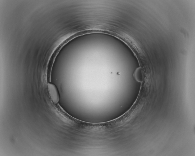 X0000111530884200907141526