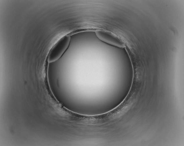 X0000111530885200907141526