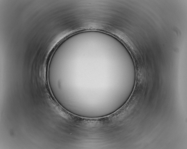 X0000111530886200907141526