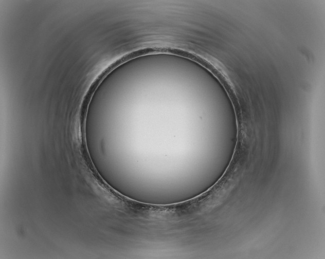 X0000111530887200907141526