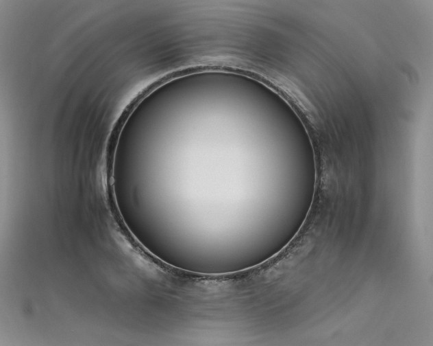 X0000111530888200907141526