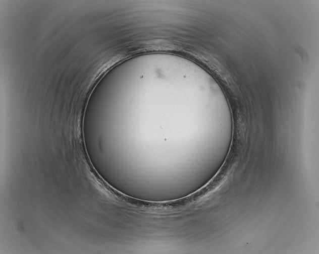 X0000111530889200907141526