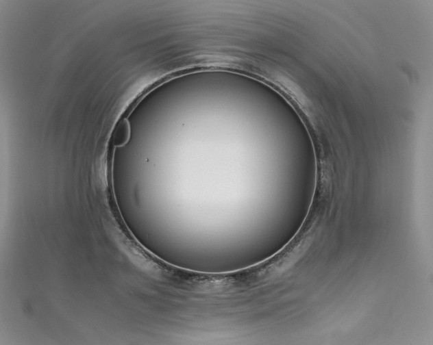 X0000111530891200907141526