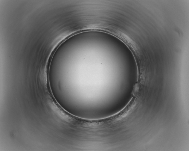 X0000111530892200907141526