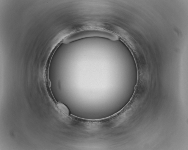 X0000111530893200907141526