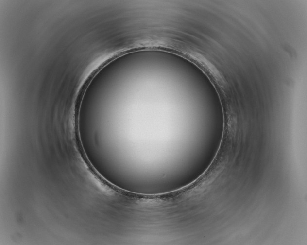 X0000111530894200907141526