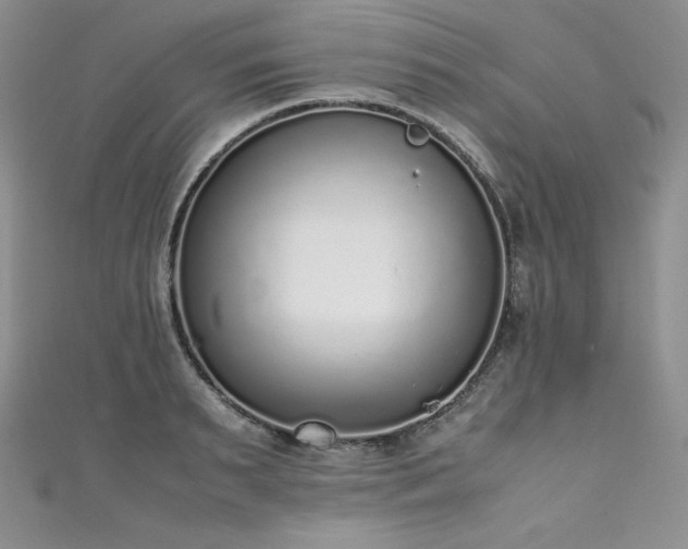 X0000111530895200907141526