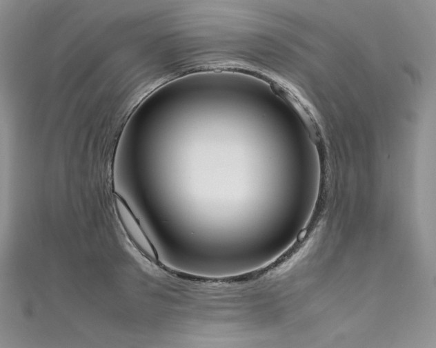 X0000111530897200907141526