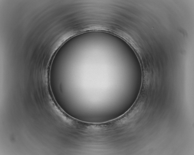 X0000111530898200907141526